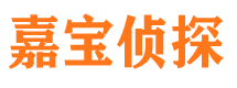 洛龙侦探公司